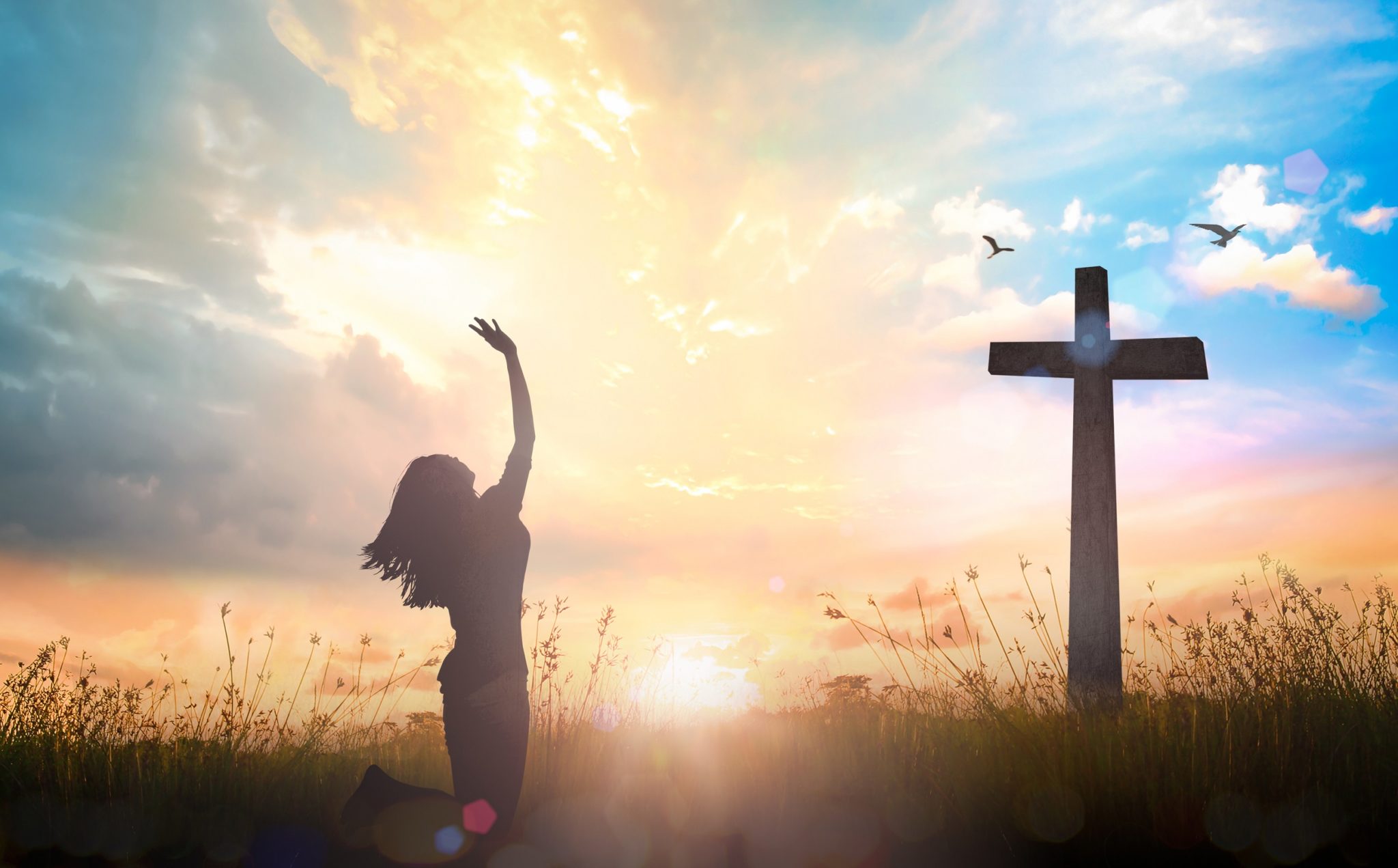 Free Born Church